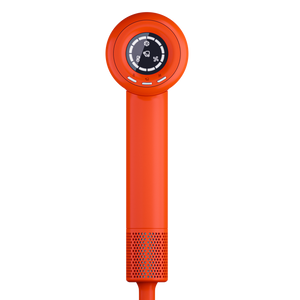 PRO Ionic Hair Dryer
